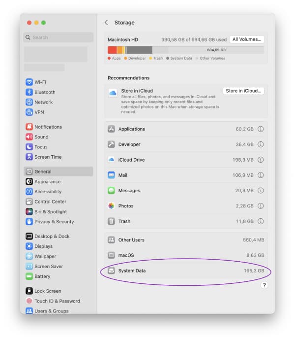 Screenshot: Storage overview in macOS System Settings with System Data taking up over 100 GB